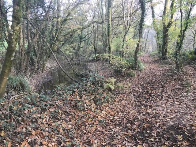Riverside Stay Gunnislake Esterno foto