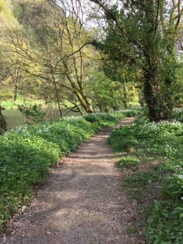Riverside Stay Gunnislake Esterno foto
