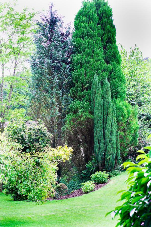 Riverside Stay Gunnislake Esterno foto